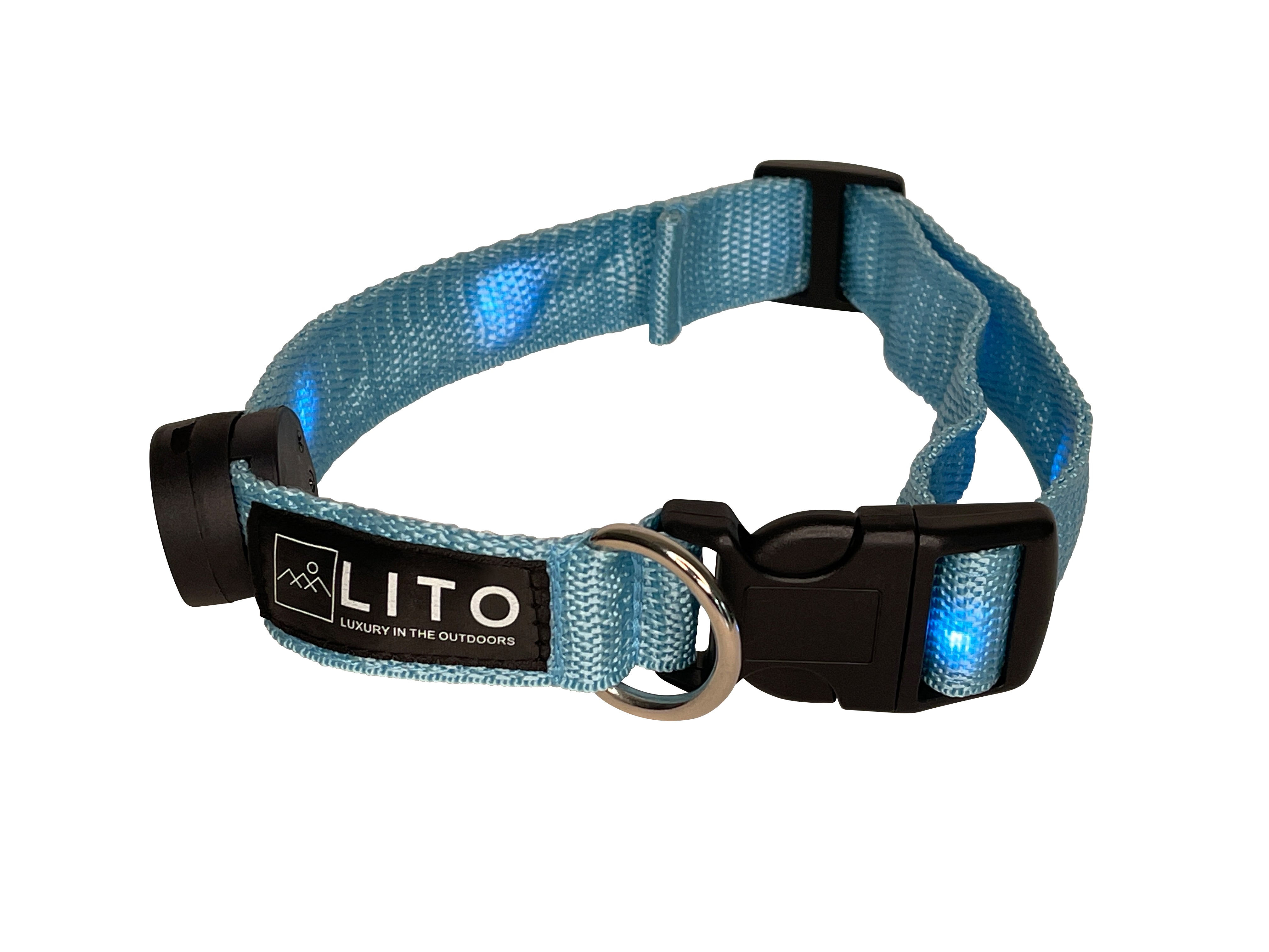 Light Up Dog Collar - Blue