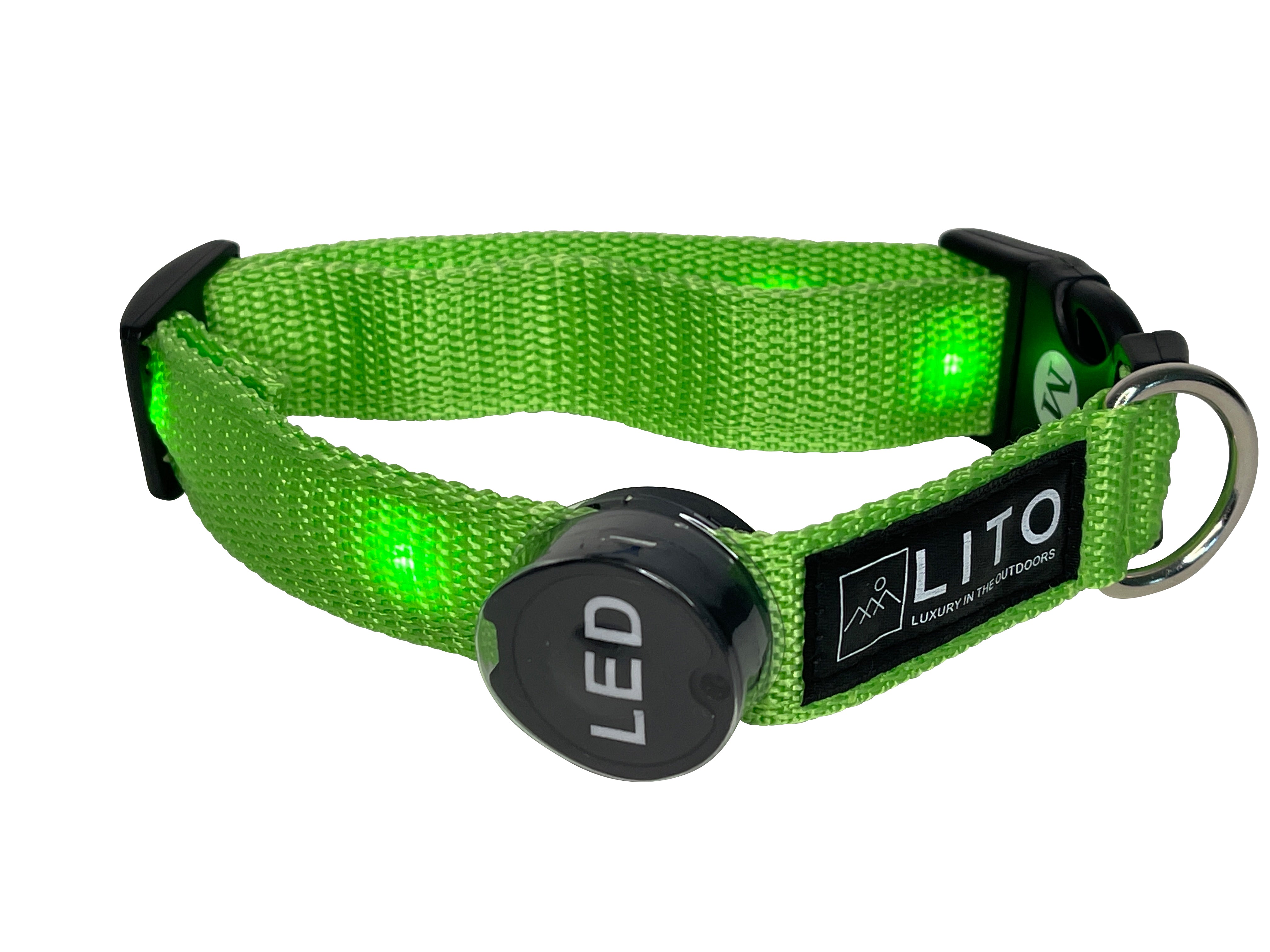 Light Up Dog Collar - Green