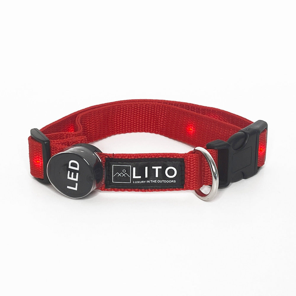 Light Up Dog Collar - Red