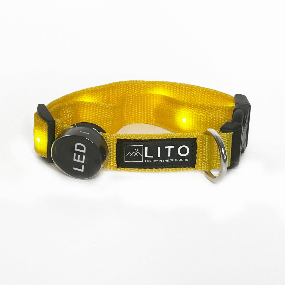 Light Up Dog Collar - Yellow