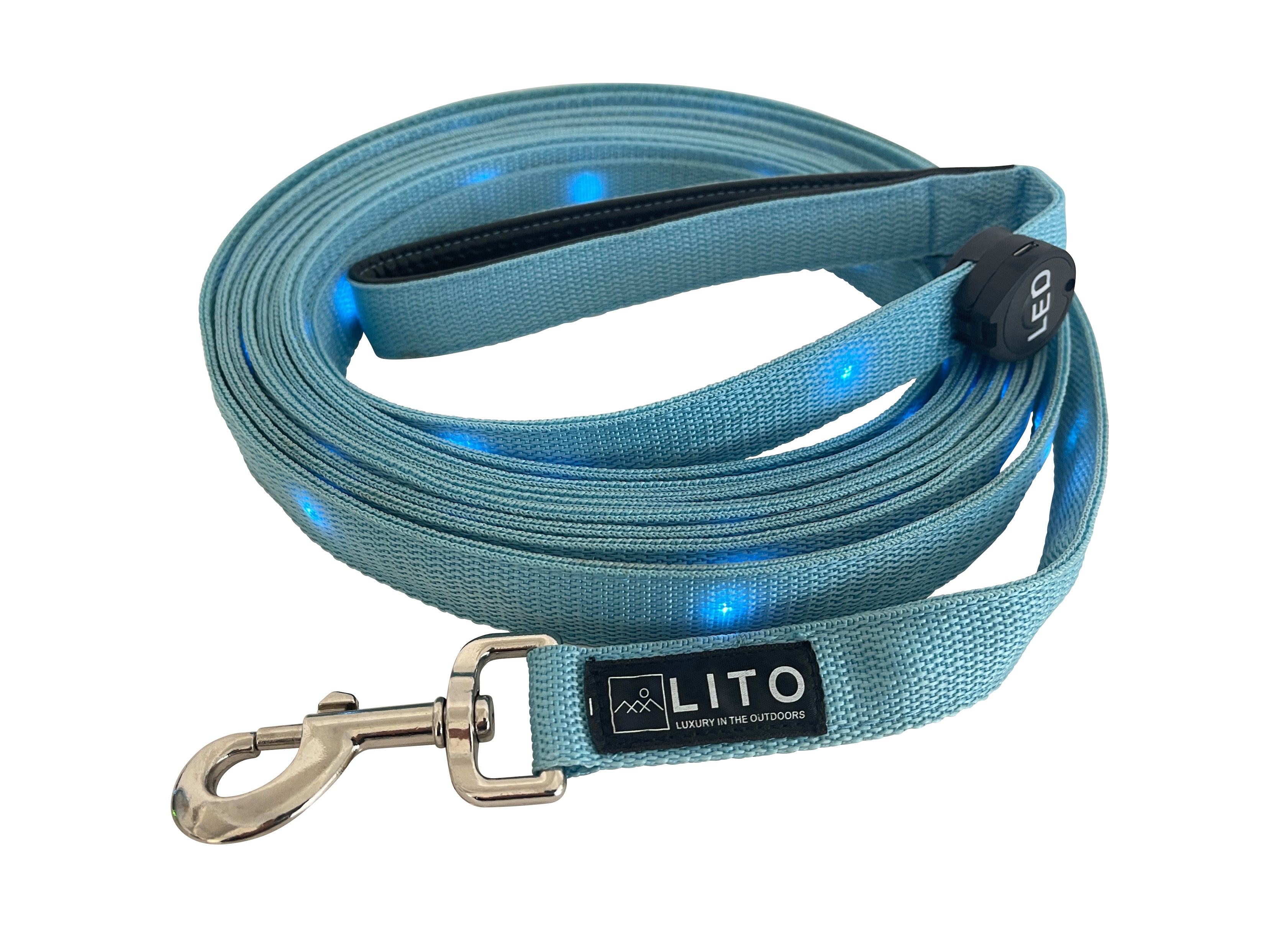 Light Up Dog Leash - Blue