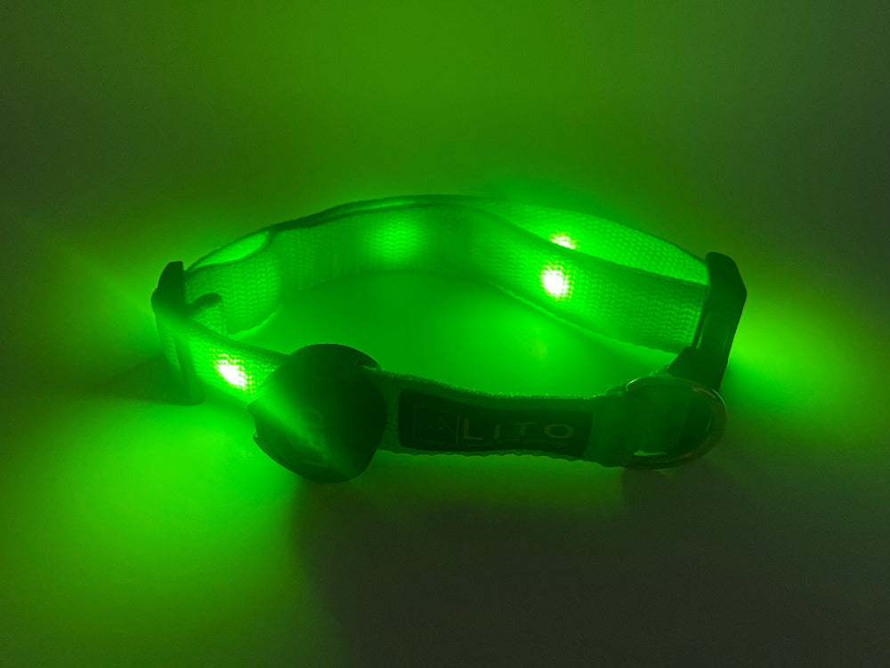 Light Up Dog Collar - Green