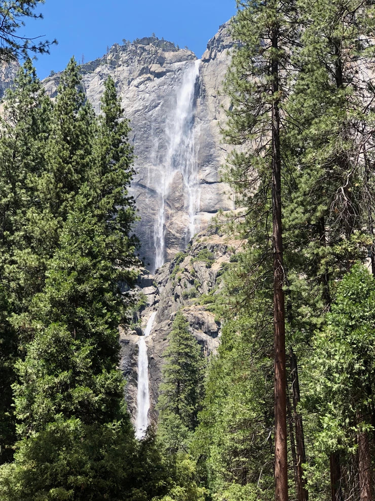 Our 3 Favorite Things to do in Yosemite National Park in the Summer