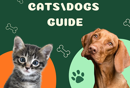 Cats & Dogs Guide