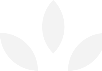 About main feature brand story