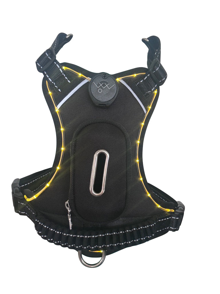 Dog Light-Up Harness