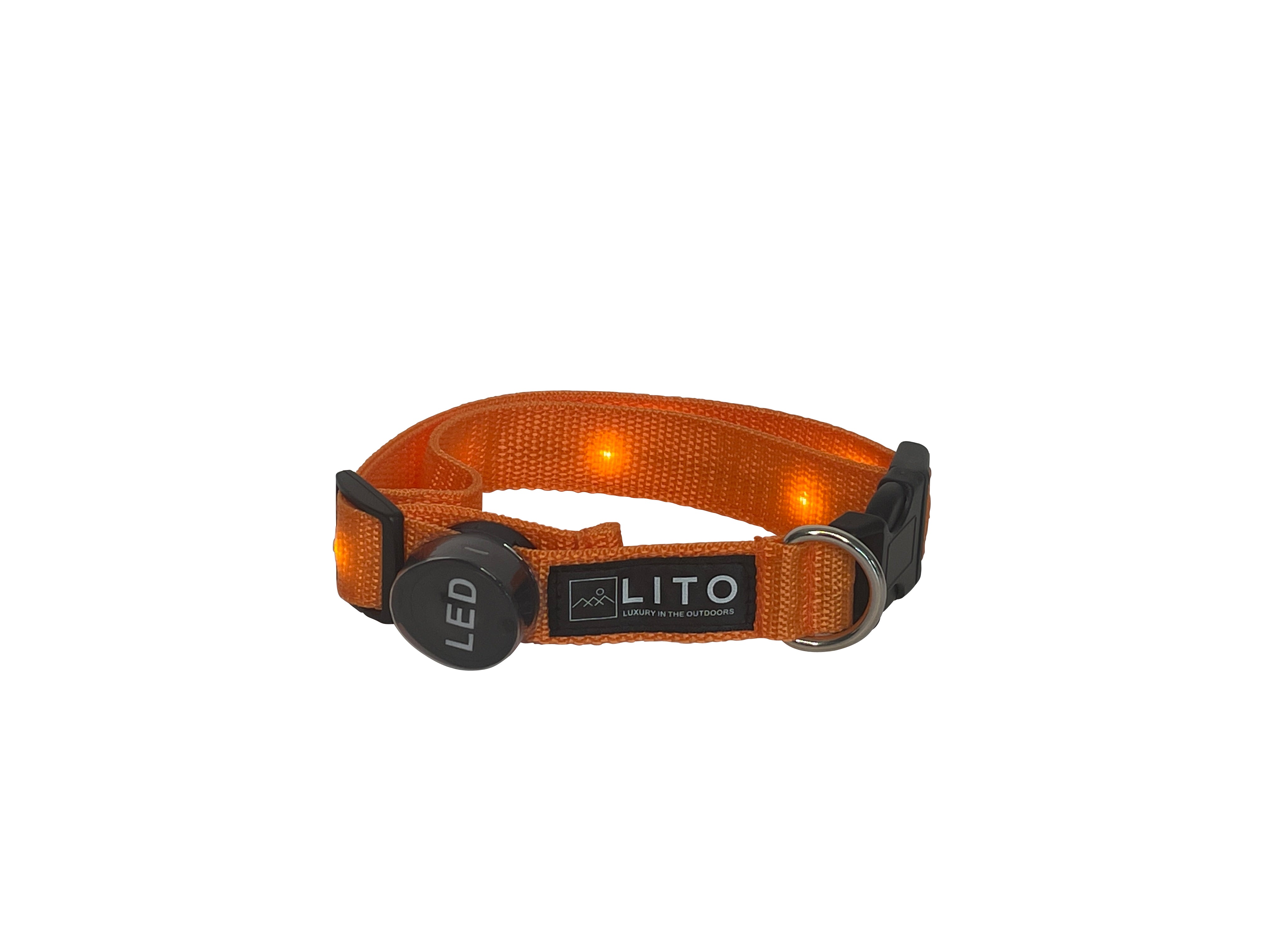 Light Up Dog Collar - Orange