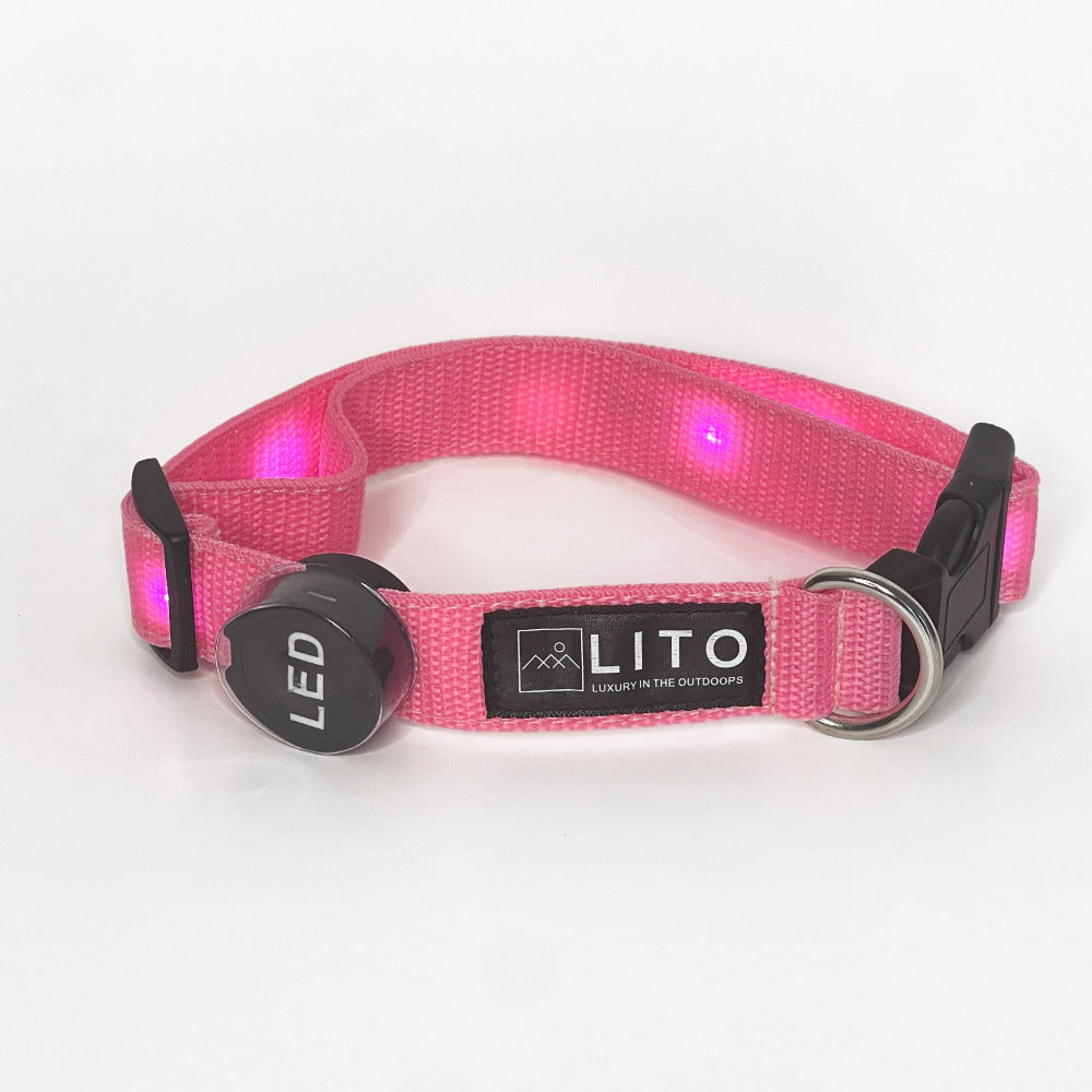 Light Up Dog Collar - Pink