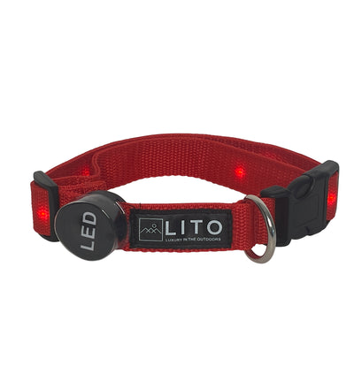 Rechargeable LED Light-Up Glow Dog Collar