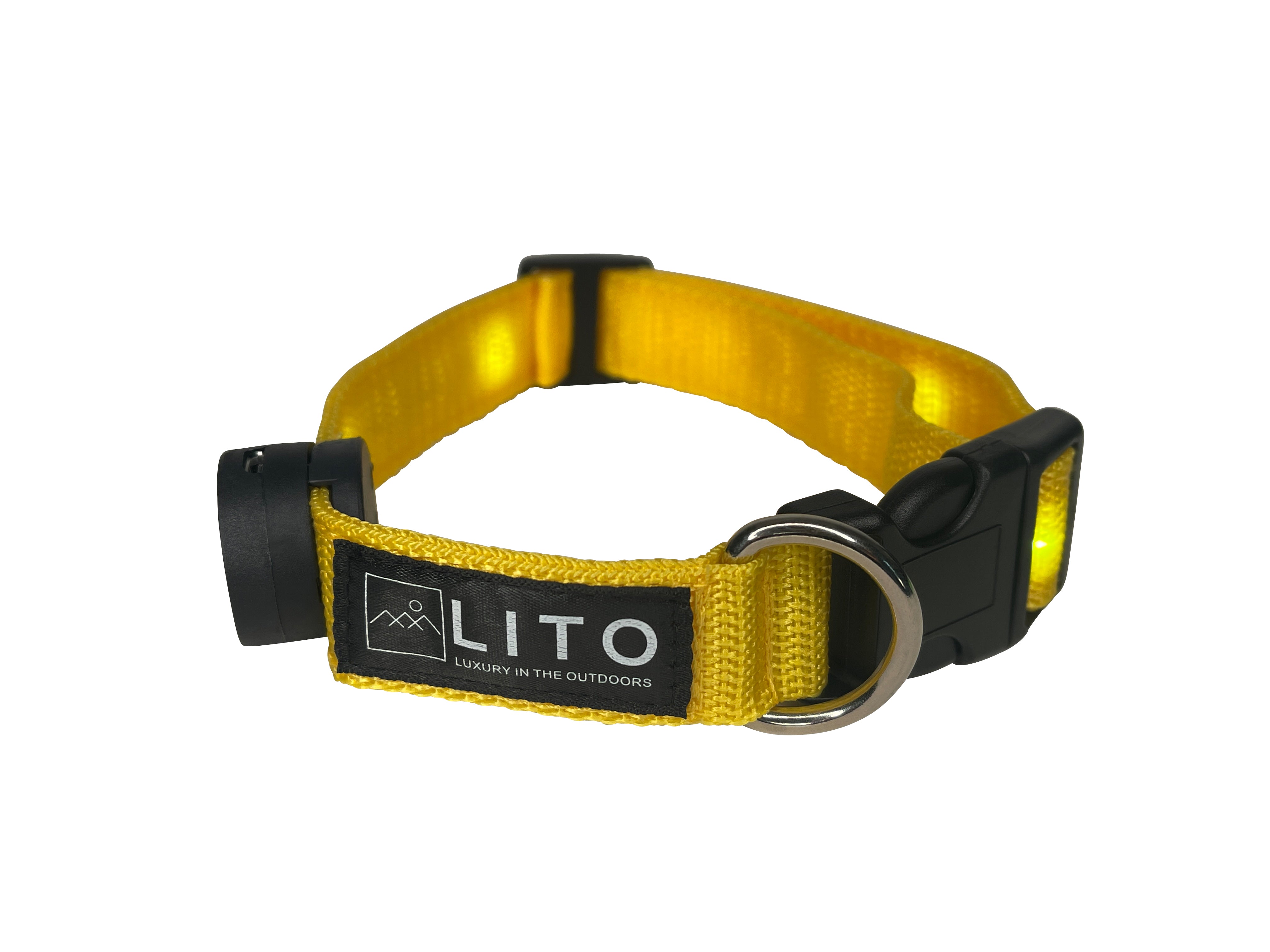 Light Up Dog Collar - Yellow