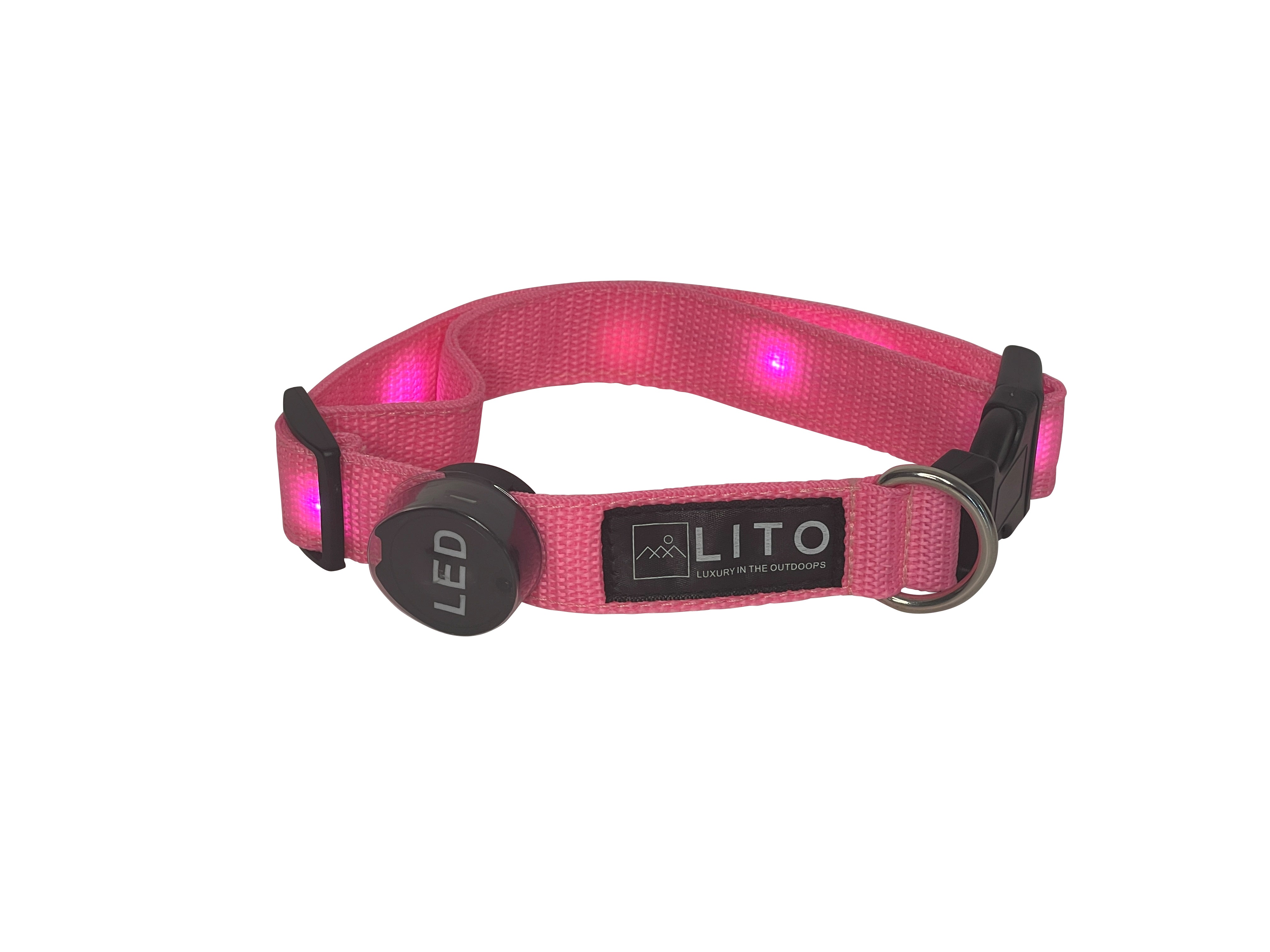 Light Up Dog Collar - Pink