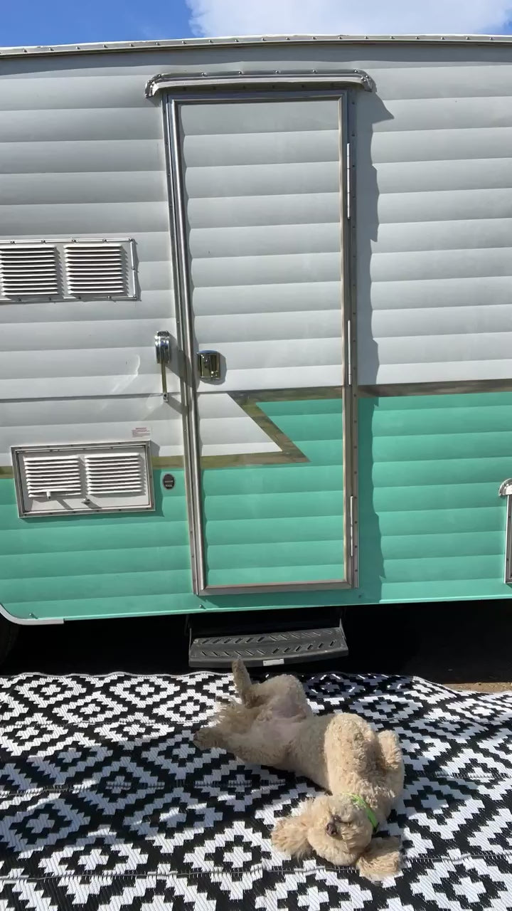 a video of a white dog rolling over on an outdoor camping rug