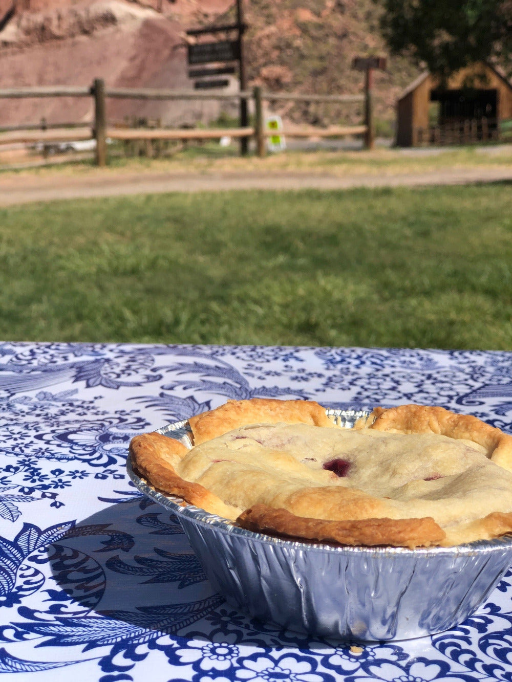 Berry pie on a Blue and White Outdoor Tablecloth