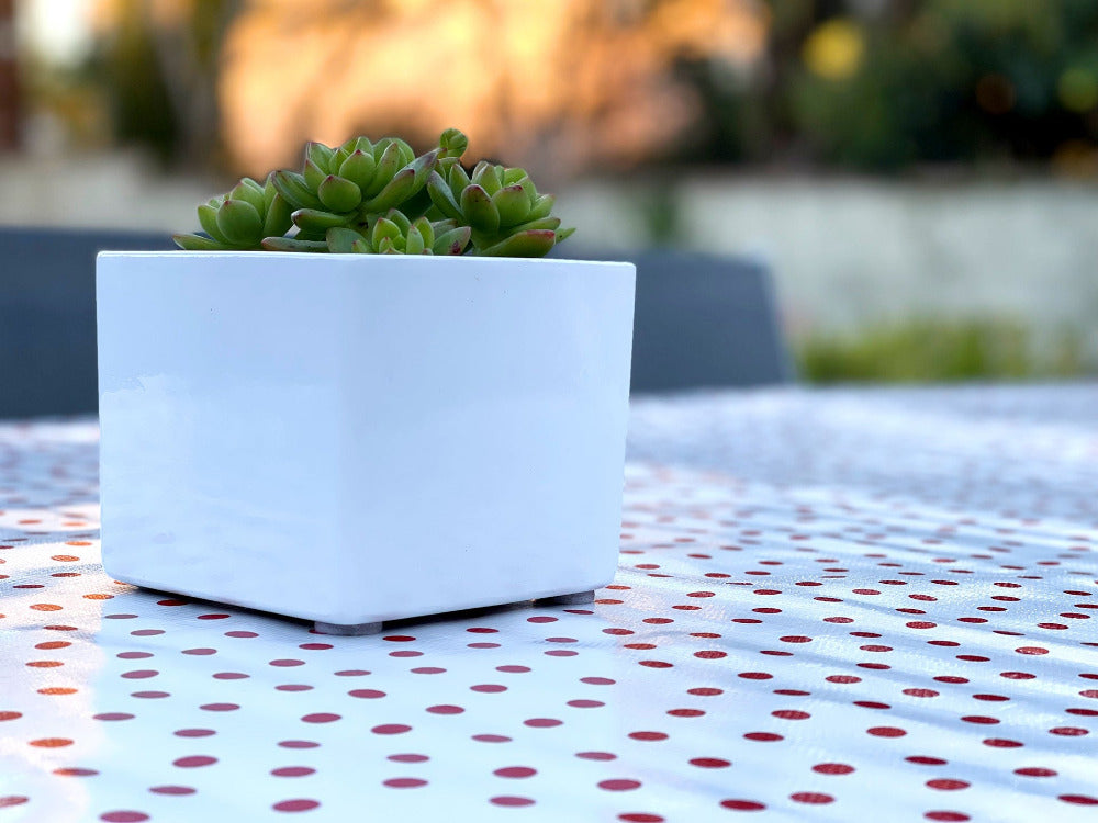 Red and white polka dots outdoor tablecloth with succulent plant in small white container