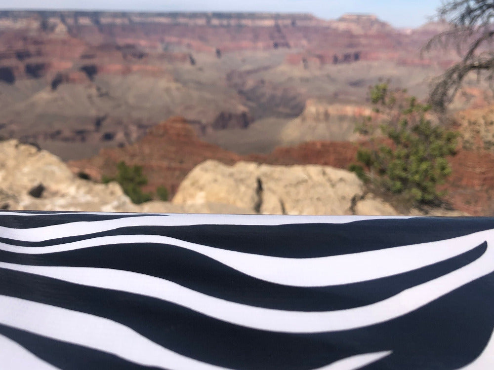 zebra pattern outdoor tablecloth with Grand Canyon in background