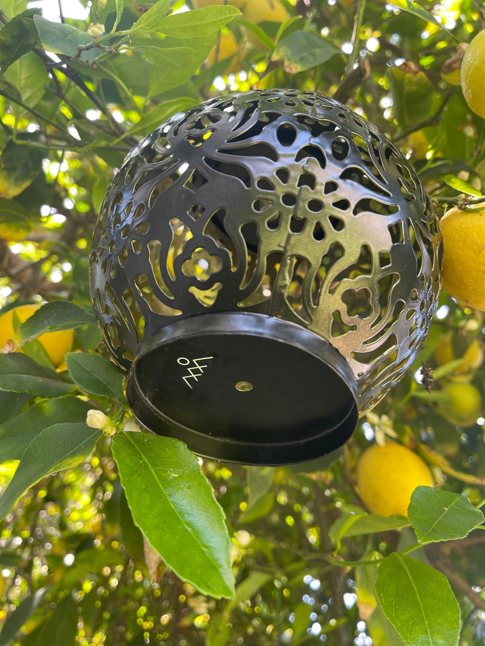 The bottom view of a hanging solar lantern hanging in a lemon tree in the daytime