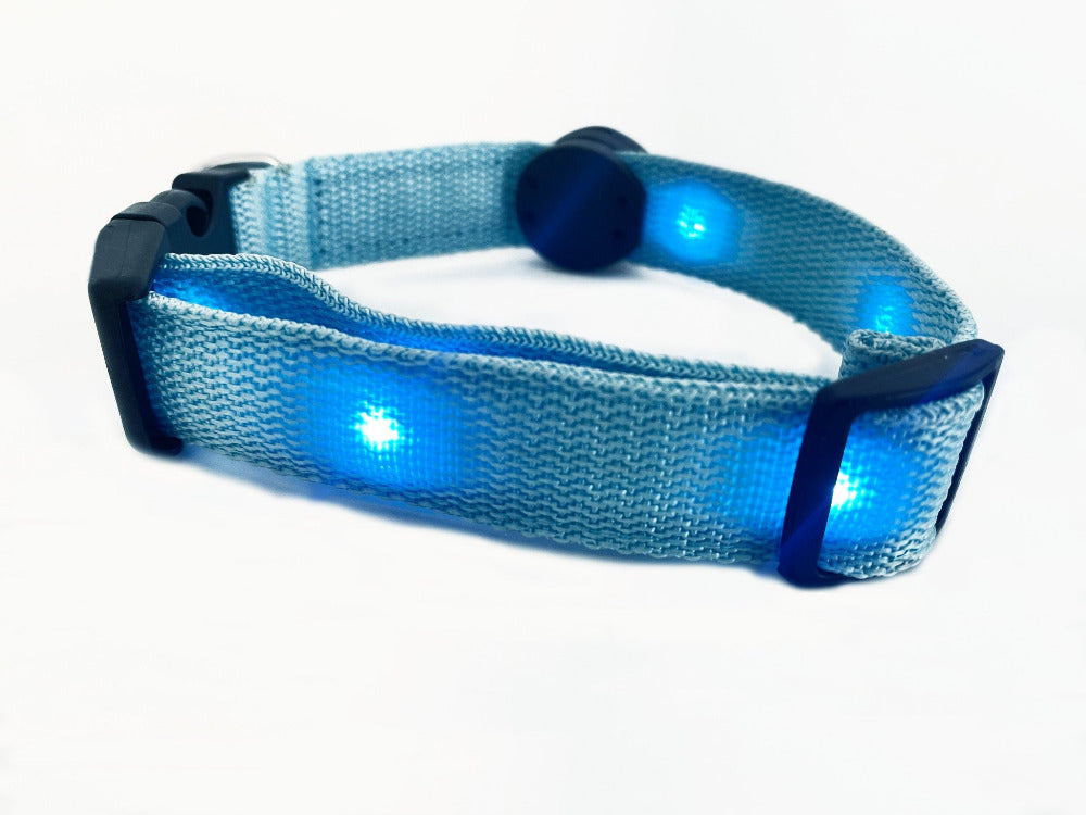 Light Up Dog Collar - Blue
