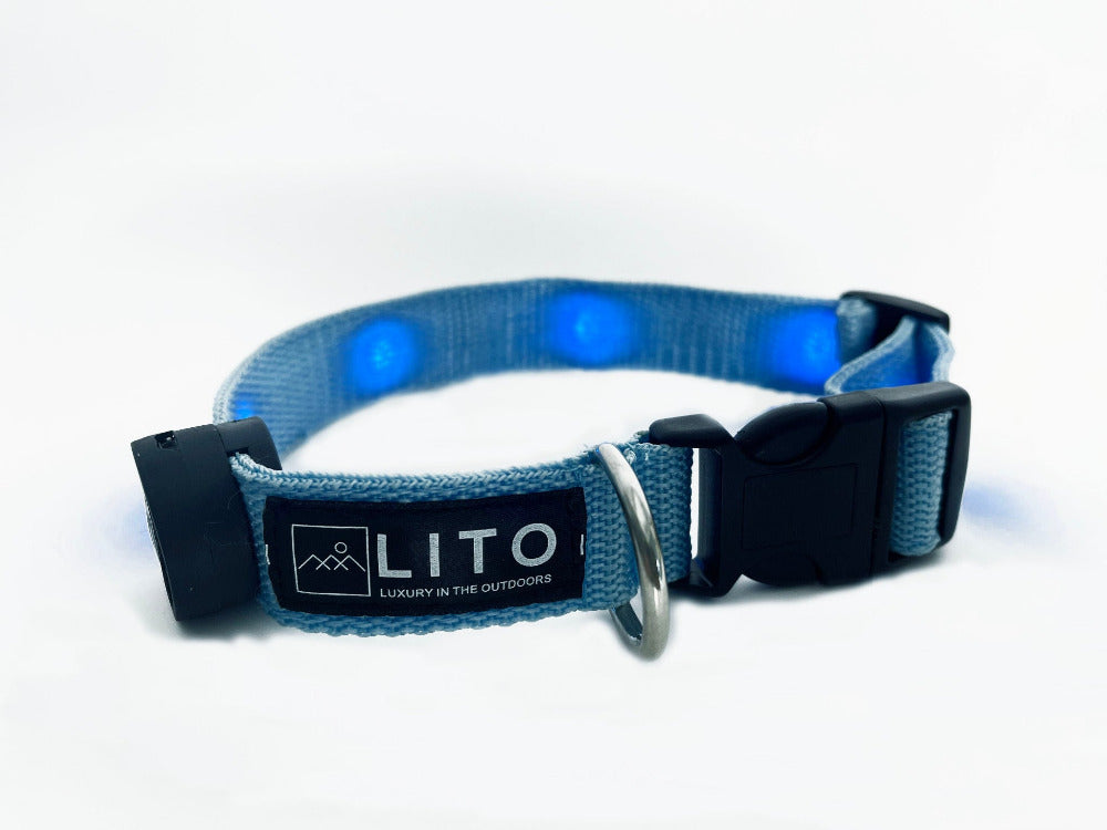 Light Up Dog Collar - Blue