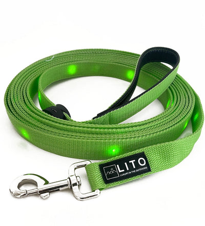 20 Foot Green Lighted Dog Leash