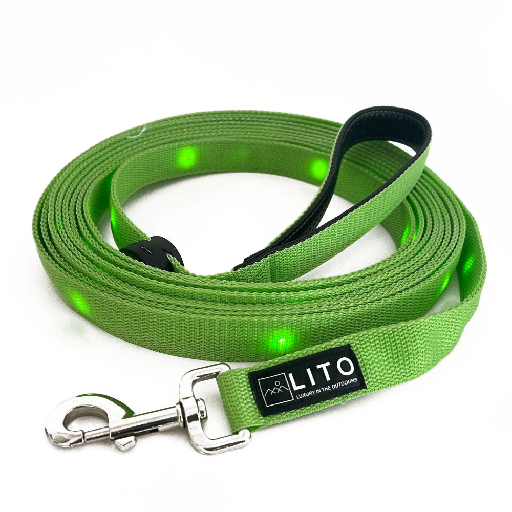 20 Foot Green Lighted Dog Leash